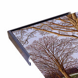 Amish Farm-THEWIN16506 Print 23.75"x32.25" by Thelma Winter