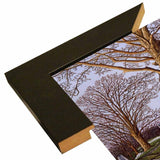 Amish Farm-THEWIN16506 Print 23.75"x32.25" by Thelma Winter