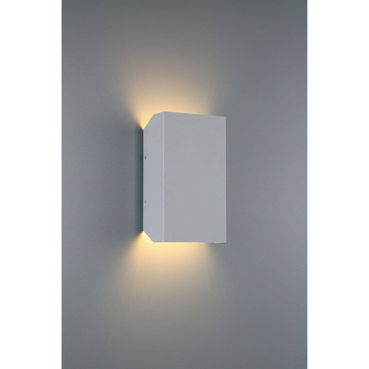 Amora Bi-Directional Tall Outdoor LED Wall Mount Light.