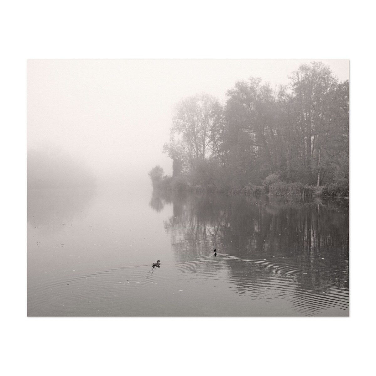 Amper Bavaria Germany River In Mist Photography Fog Art Print/Poster