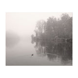 Amper Bavaria Germany River In Mist Photography Fog Art Print/Poster