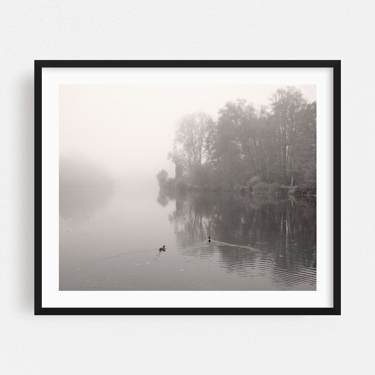 Amper Bavaria Germany River In Mist Photography Fog Art Print/Poster