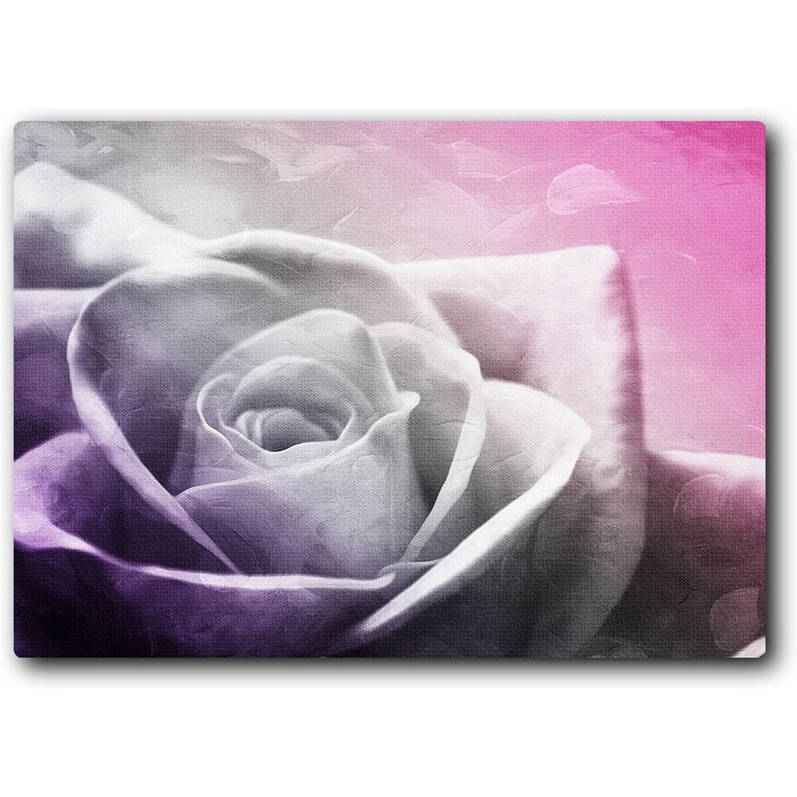 And Look At That Rose 20x16 Gallery Wrapped Stretched Canvas
