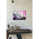 And Look At That Rose 20x16 Gallery Wrapped Stretched Canvas