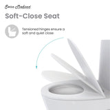 Angers One Piece Elongated Toilet Dual Vortex Flush 1.1/1.6 Gpf With 10" Rough In - 27" x 15.15" 31.2"