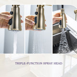 Wall Mounted 3-Way Black/Gold Rotary Kitchen Faucet with Pull Down Sprayer In Stainless Steel
