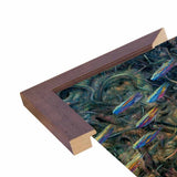 Aquarium 2-JAMJOH131771 Print 30"x20.5" by James W. Johnson