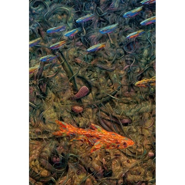 Aquarium 2-JAMJOH131771 Print 30"x20.5" by James W. Johnson
