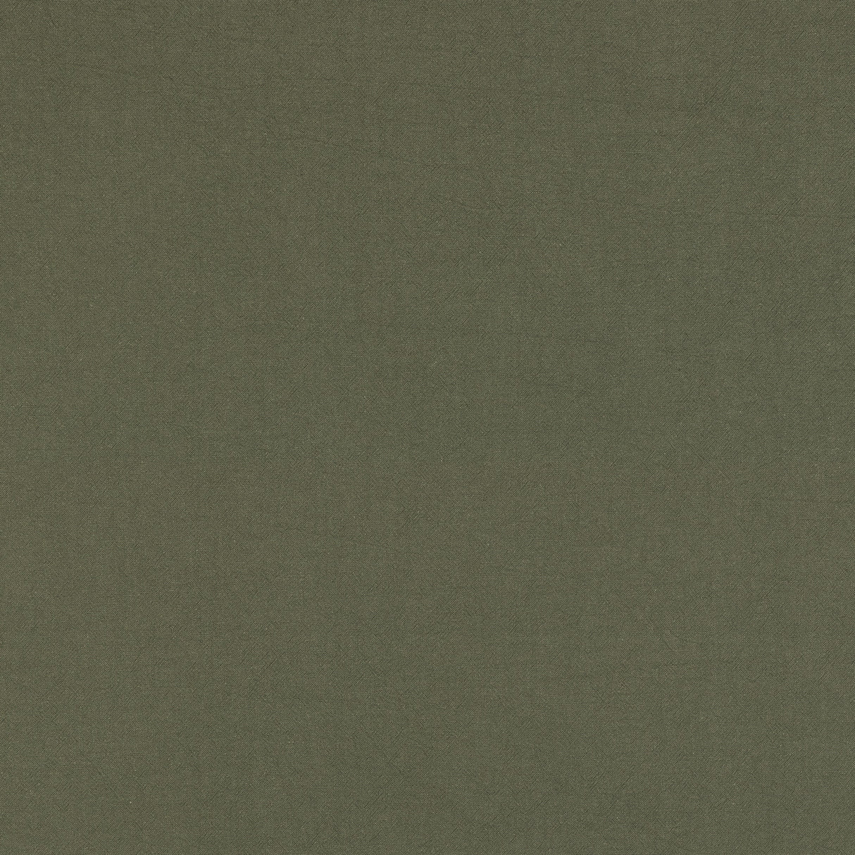 1161454260