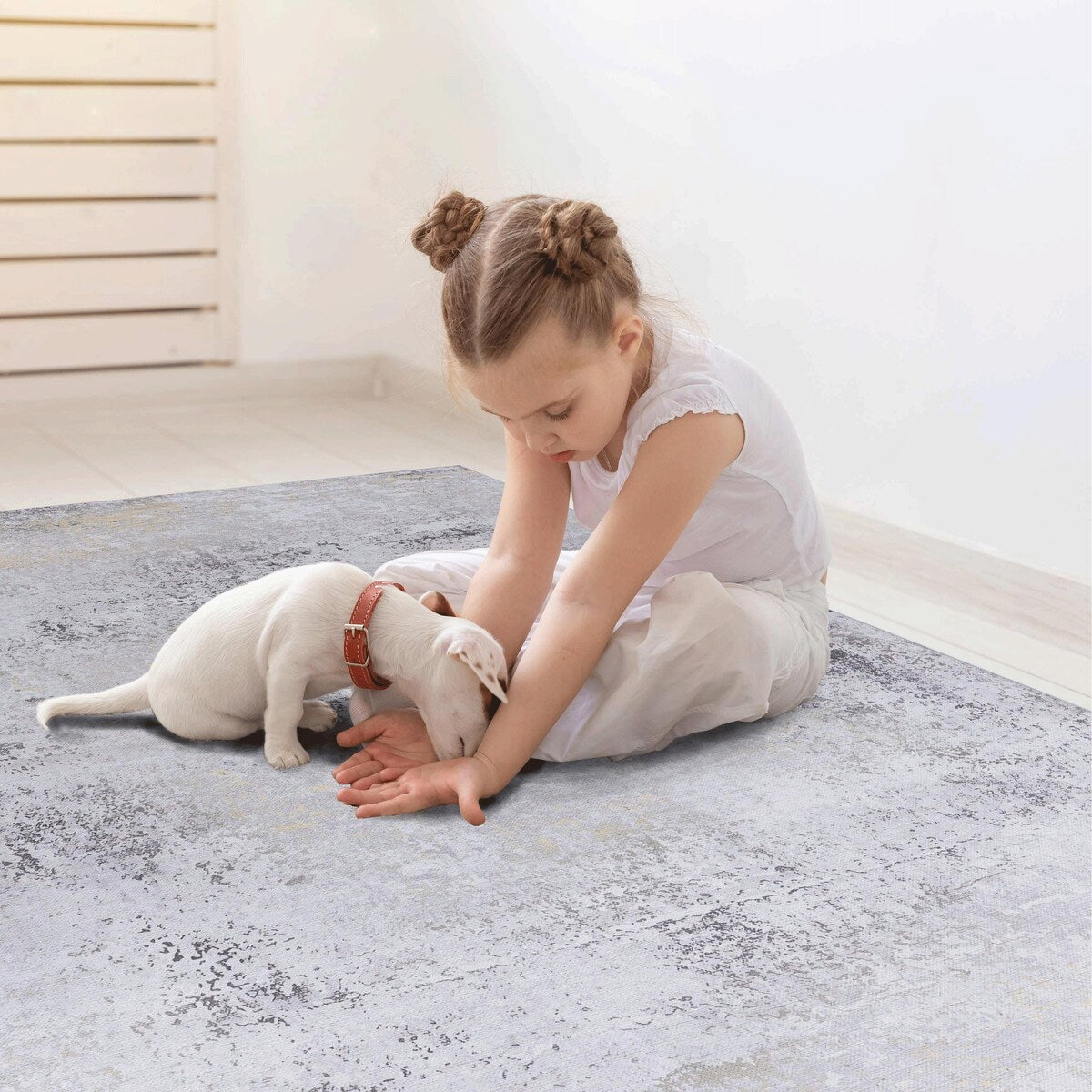 Area Rugs 5x8 Living Room,Washable Rug,Low-Pile,Non-Slip,Non-Shedding,Foldable,Kid & Pet Friendly for living room - 6' x 7'