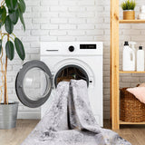 Area Rugs 5x8 Living Room,Washable Rug,Low-Pile,Non-Slip,Non-Shedding,Foldable,Kid & Pet Friendly for living room - 6' x 7'