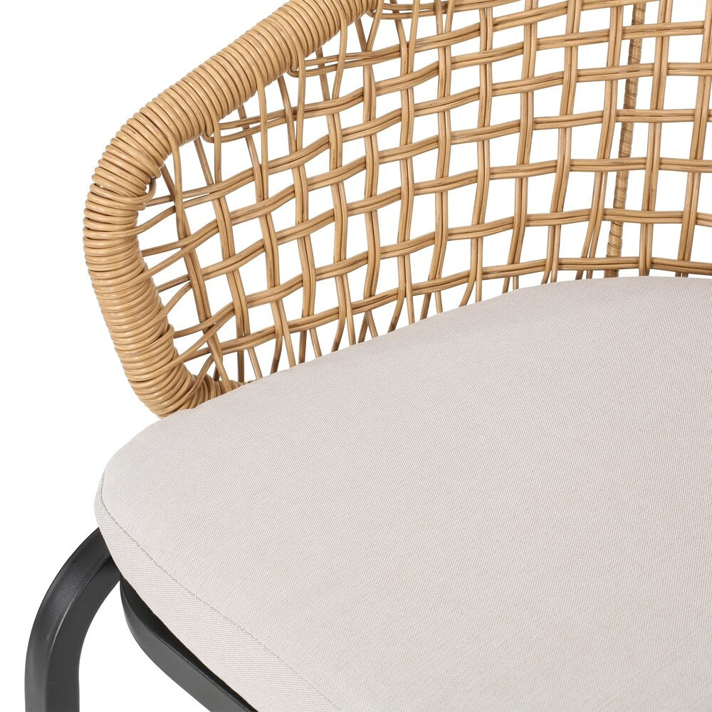 Arias Outdoor Wicker Club Chair with Cushion (Set of 2) by Christopher Knight Home