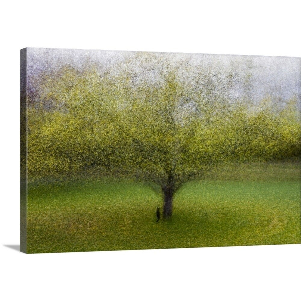 Arne Ostlund Premium Thick-Wrap Canvas entitled The Cat By The Tree - Multi-color