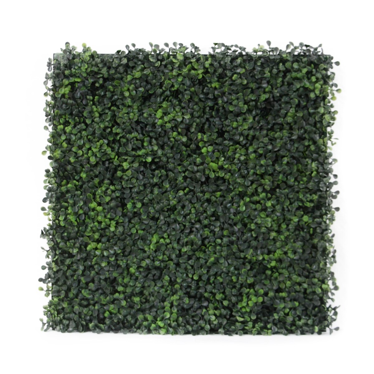Artificial Boxwood Hedge 20-inch Tile with Back Board (Set of 6) - 6pc