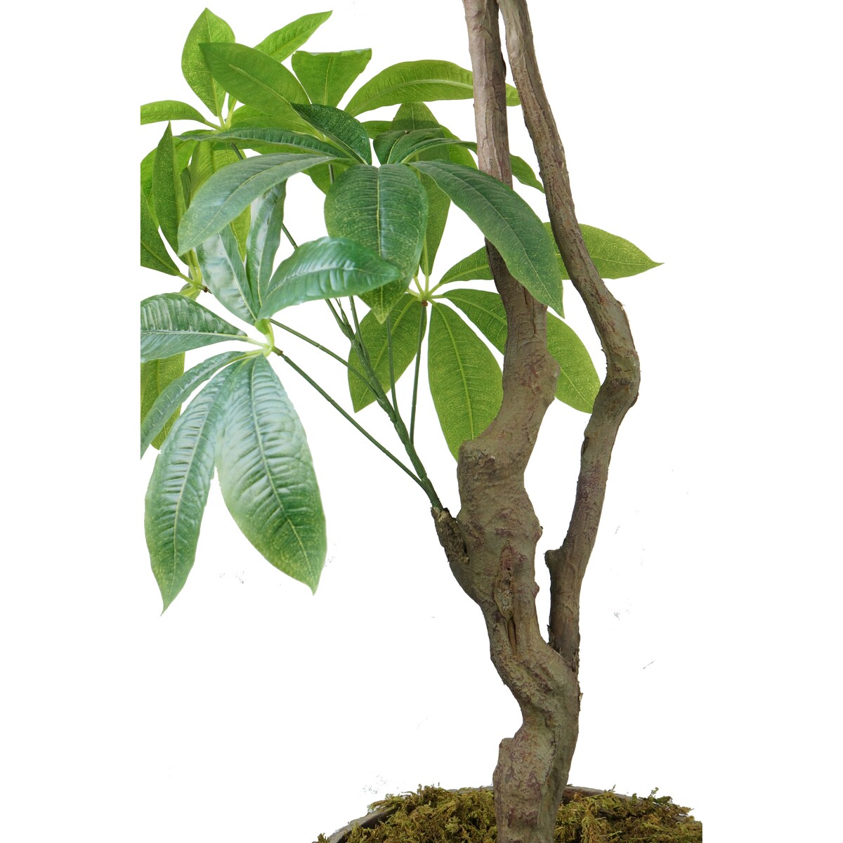Artificial Faux Real Touch 6.67 Ft R/T Pachira Aqua In Planter - Green - 80" Tall