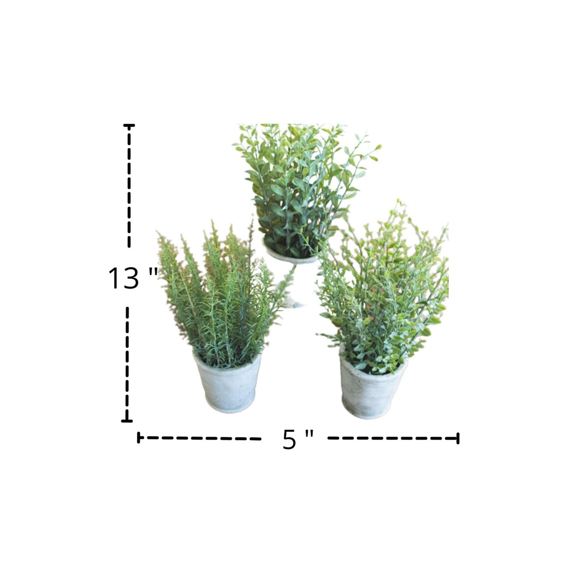 Set of Three Artificial Herbs in Cement Pots - 5-inch Diameter