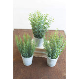 Set of Three Artificial Herbs in Cement Pots - 5-inch Diameter