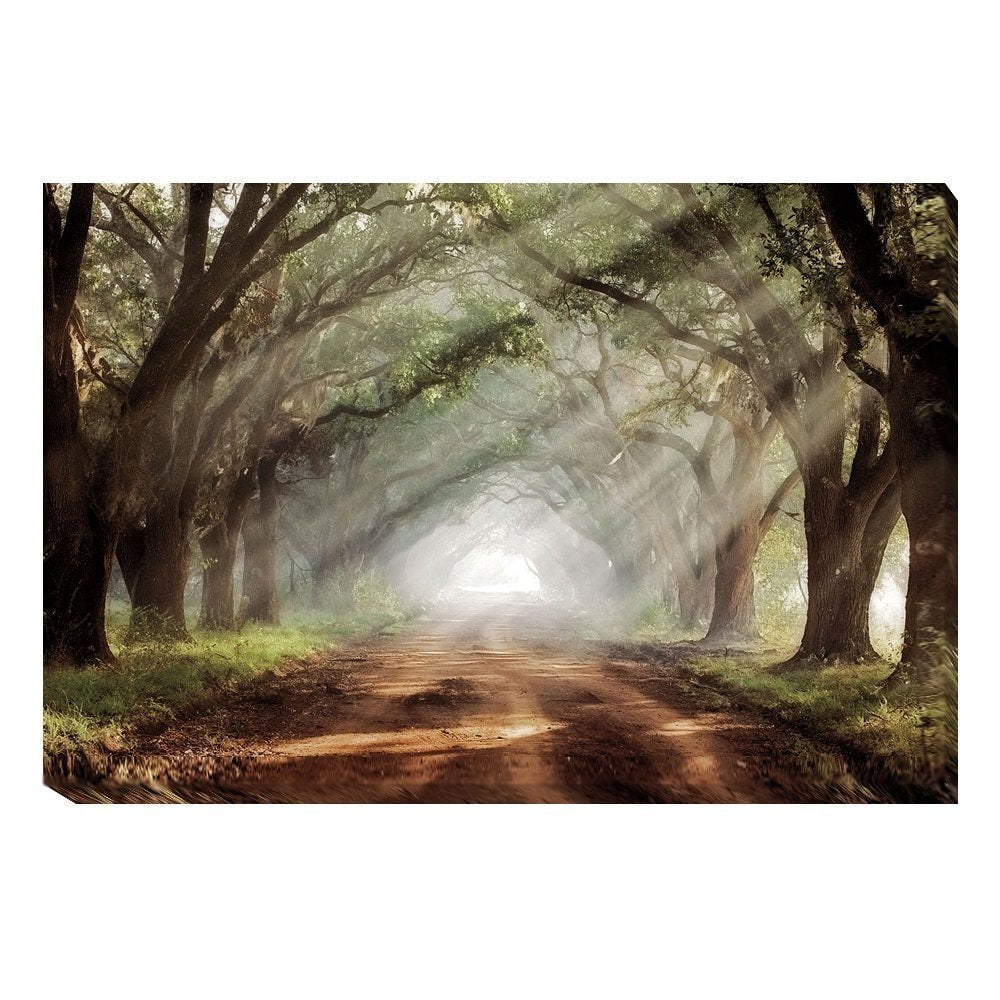 Artistic Home Gallery Mike Jones Evergreen Plantation Gallery-wrapped Canvas Wall Art