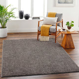 Artistic Weavers Alf Machine Washable Plush Area Rug