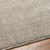 Artistic Weavers Alf Machine Washable Plush Area Rug