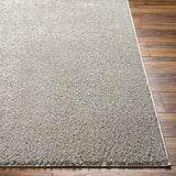Artistic Weavers Alf Machine Washable Plush Area Rug