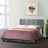 Arty Silver Grey Velvet Queen Bed with Line Stitch Tufting