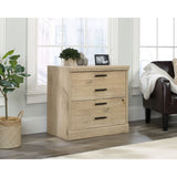 Aspen Post Lateral File