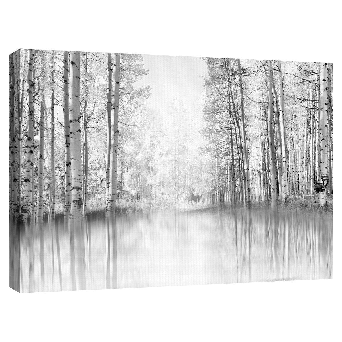 Aspen Reflection by Danita Delimont Canvas Art Print