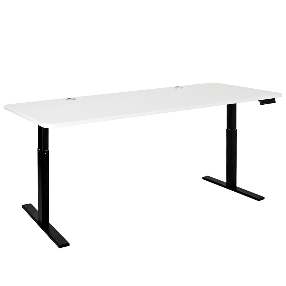 Autonomous SmartDesk - Height-Adjustable Standing Desk - Single Motor Frame - Classic Extra Long Top