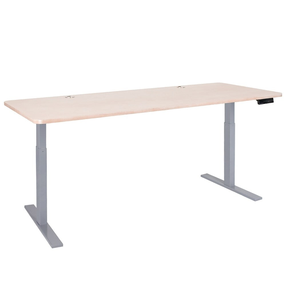 Autonomous SmartDesk - Height-Adjustable Standing Desk - Single Motor Frame - Classic Extra Long Top