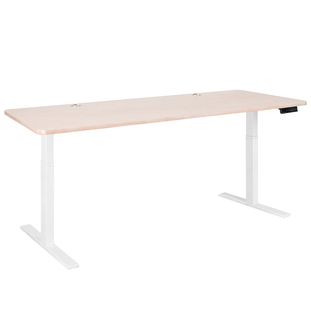 Autonomous SmartDesk - Height-Adjustable Standing Desk - Single Motor Frame - Classic Extra Long Top