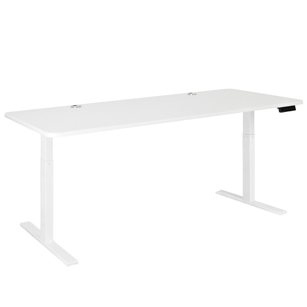 Autonomous SmartDesk - Height-Adjustable Standing Desk - Single Motor Frame - Classic Extra Long Top