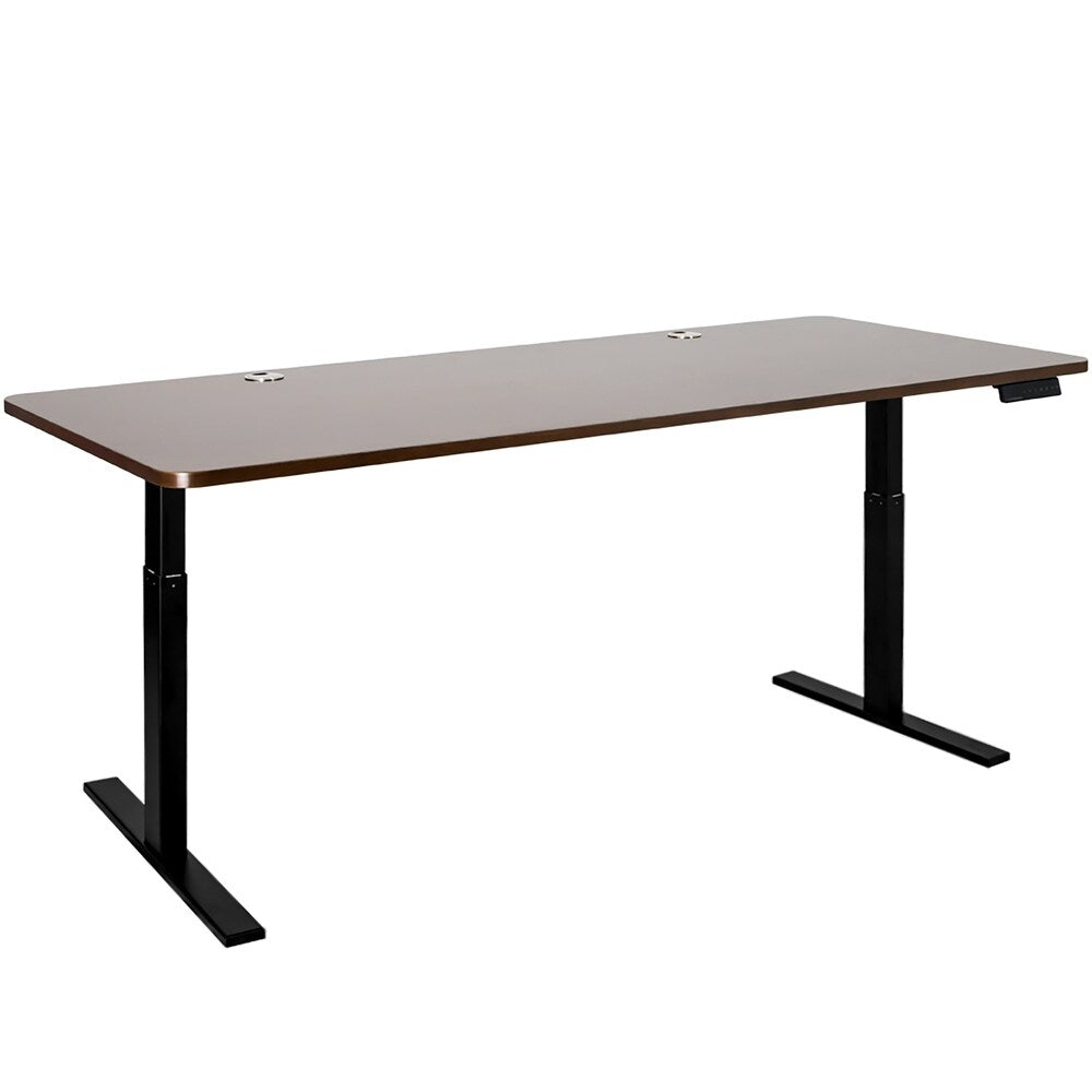Autonomous SmartDesk - Height-Adjustable Standing Desk - Single Motor Frame - Classic Extra Long Top