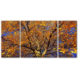 Autumn Torch 3 PC Triptych Wall Art