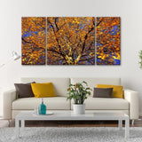 Autumn Torch 3 PC Triptych Wall Art