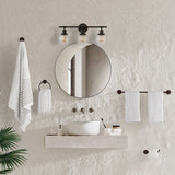 Avalon 24.5" 3-Light Farmhouse Classic Vanity Light with Bathroom Hardware Accessory Set, (5-Piece) by JONATHAN Y