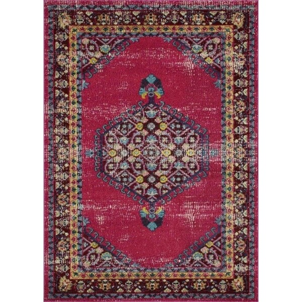 Avalon Rugs Vibrant Vintage Bohemian Gypsy Collection Area Rug 8'x10' Cherry / Red