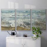 BEACHCOMBING - Multi Piece Framed Canvas