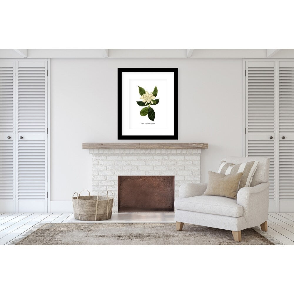 BOTANICAL THREE Black Framed Giclee Print By Kavka Designs