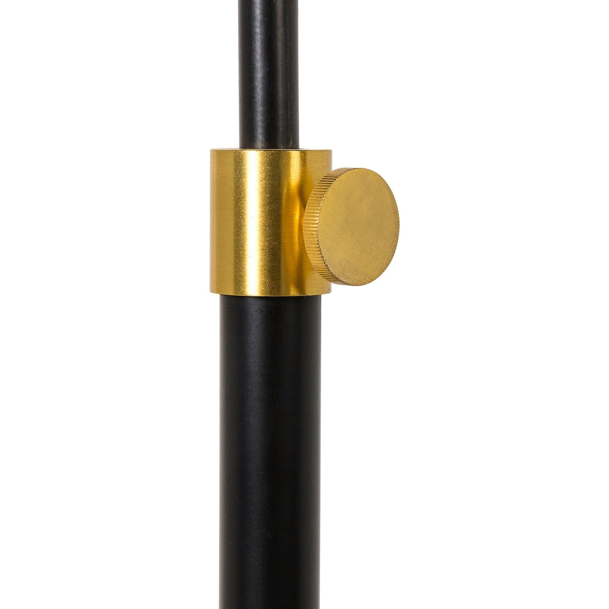 Babo Black and Gold Modern Floor Lamp - 62"H x 23"W x 17"D