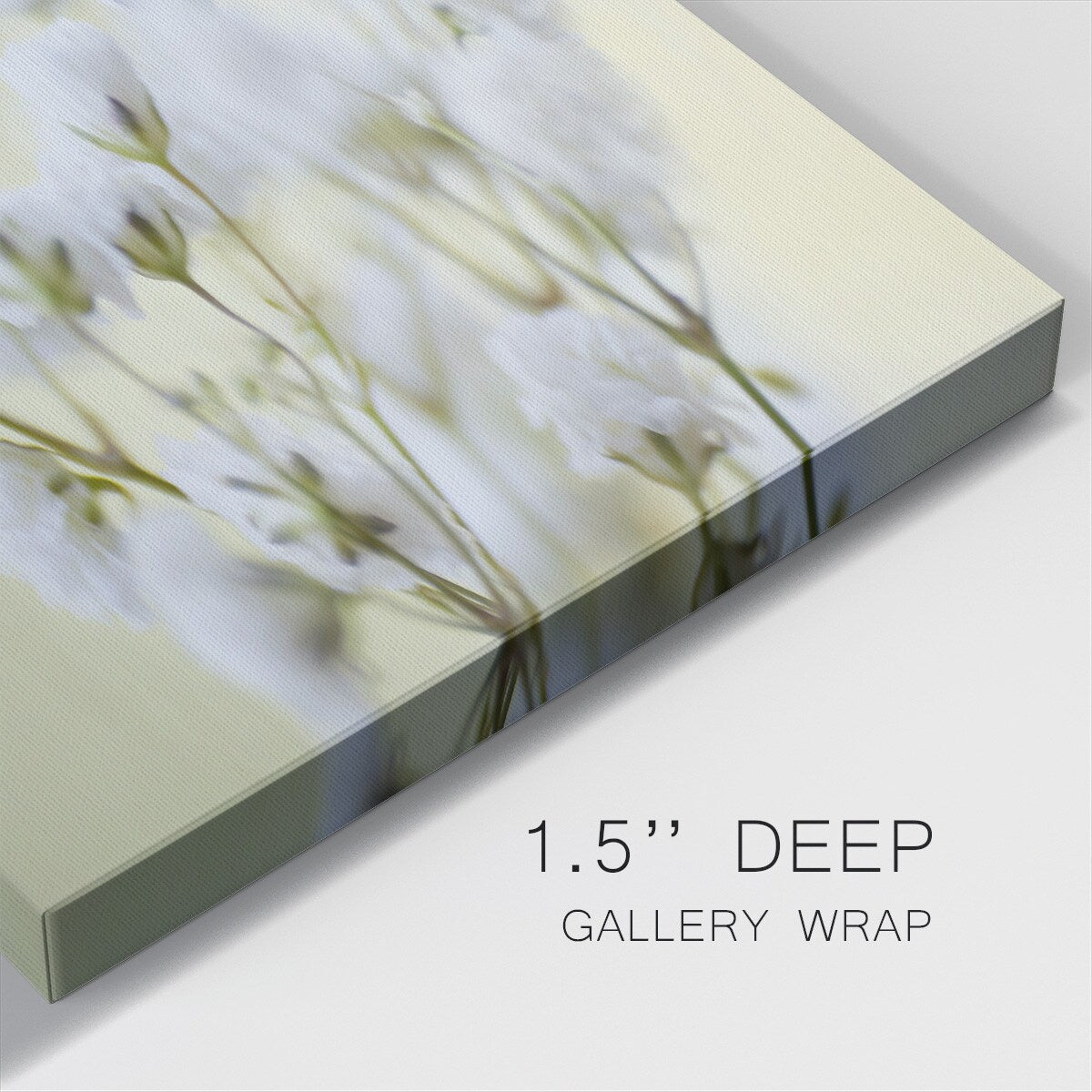 Baby's Breath Study IV-Gallery Wrapped Canvas