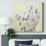 Baby's Breath Study IV-Gallery Wrapped Canvas