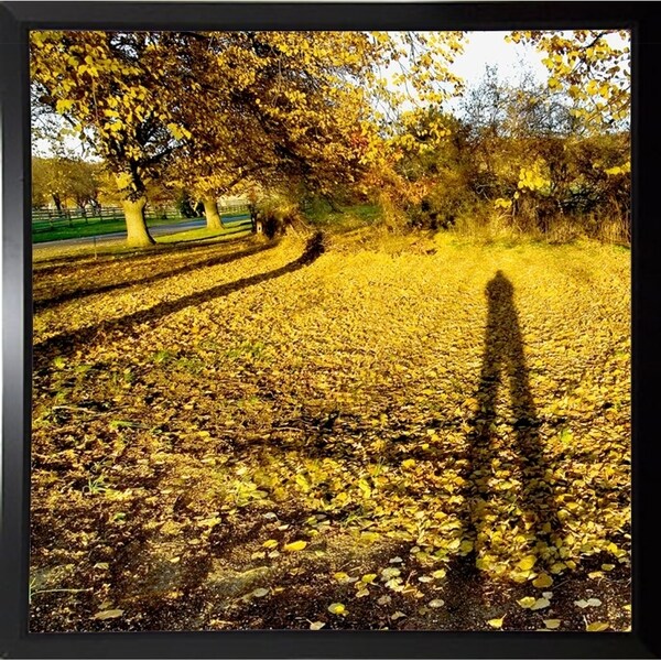 Backlit Field Square-HARTRE78949 Print 18"x18" by Harold Silverman - Trees & Old Fences