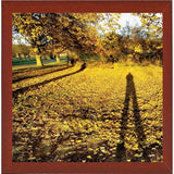 Backlit Field Square-HARTRE78949 Print 18"x18" by Harold Silverman - Trees & Old Fences