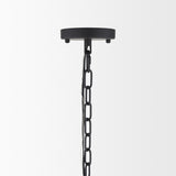 Barbara Matte Black Metal w/ Frosted Glass Globes 11-Light Chandelier - 31.5L x 31.5W x 31.5H