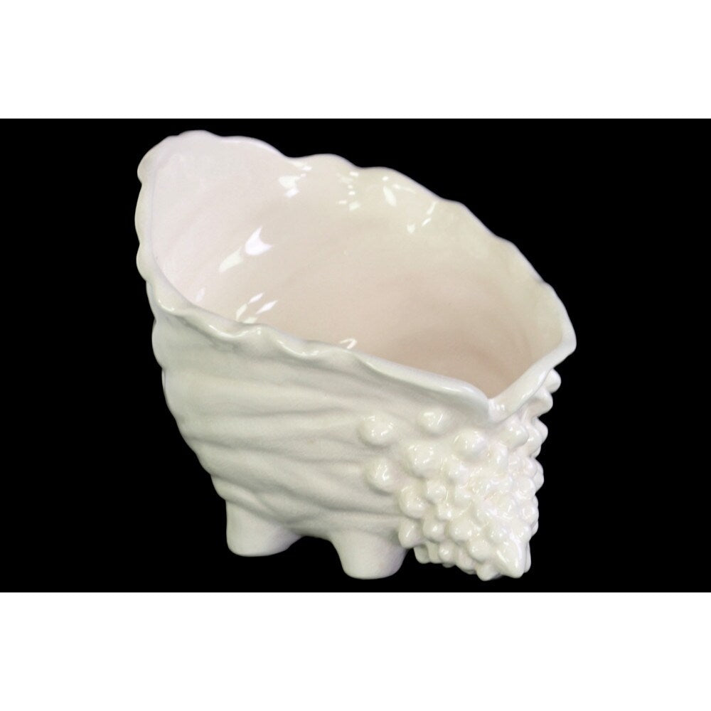 Barrier Reef Conch Sea Shell Sculpture - White - Benzara