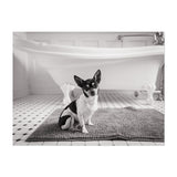 Bath Time Photography Bathroom Black White Art Print/Poster