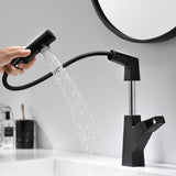 3-Way Swivel Bathroom Sink Pull Out Faucet Single Hole with Hand Spray in Black / Gold