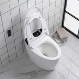 Bathroom Toilets
