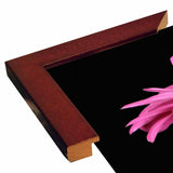Bay in a Big Daisy-TANHOV93037 Print 5.25"x7.25" by Tanya Hovey